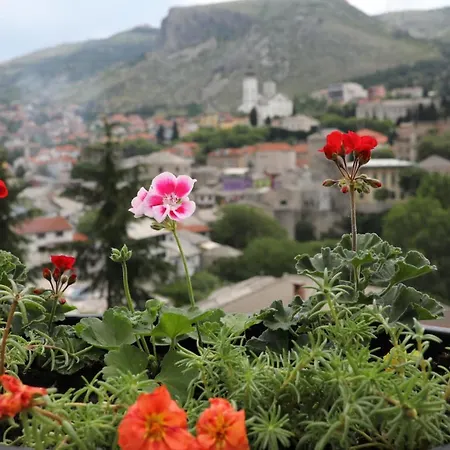 Apartment Extraordinary Aparment Belview Old Town *
